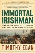Cover: Immortal Irishman - Mariner Books