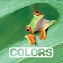 Cover: Colors: Picture This - Houghton Mifflin