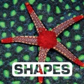 Cover: Shapes - Clarion Books
