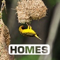 Cover: Homes - Clarion Books