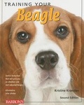 Cover: Training Your Beagle - Barron's Educational Series Inc.,U.S.