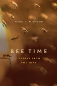 Enlarge image Cover: Bee Time - Harvard University Press