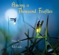 Cover: Among a Thousand Fireflies - Candlewick Press,U.S.