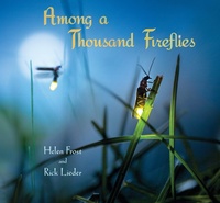 Enlarge image Cover: Among a Thousand Fireflies - Candlewick Press,U.S.