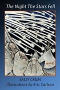 Cover: The Night the Stars Fell - Wise Bird Books LLC