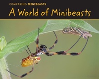 Abbildung von: World of Minibeasts - Raintree Publishers