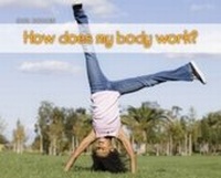 Abbildung von: How Does My Body Work? - Raintree Publishers