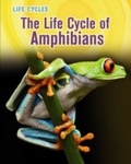 Cover: Life Cycle of Amphibians - Raintree Publishers