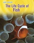Cover: Life Cycle of Fish - Raintree Publishers