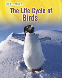 Enlarge image Cover: Life Cycle of Birds - Raintree Publishers