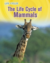 Enlarge image Cover: Life Cycle of Mammals - Raintree Publishers
