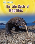 Cover: Life Cycle of Reptiles - Raintree Publishers