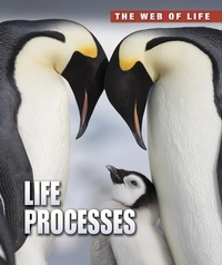 Enlarge image Cover: Life Processes - Raintree Publishers