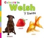 Cover: Colours in Welsh - Raintree Publishers