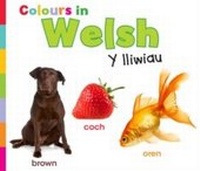 Enlarge image Cover: Colours in Welsh - Raintree Publishers