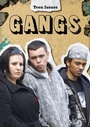 Cover: Gangs - Raintree Publishers