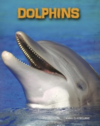 Enlarge image Cover: Dolphins - Raintree Publishers
