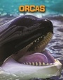 Cover: Orcas - Raintree Publishers