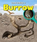 Cover: Burrow - Raintree Publishers