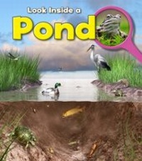 Enlarge image Cover: Pond - Raintree Publishers