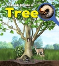 Cover: Tree - Raintree Publishers