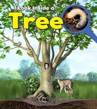 Enlarge image Cover: Tree - Raintree Publishers