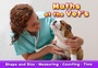 Cover: Maths at the Vet's - Raintree Publishers