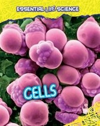 Enlarge image Cover: Cells - Raintree Publishers