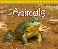 Enlarge image Cover: Animals - Raintree Publishers