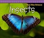 Cover: Insects - Raintree Publishers