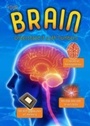 Cover: Your Brain - Raintree Publishers