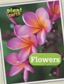 Cover: Flowers - Raintree Publishers