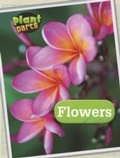 Cover: Flowers - Raintree Publishers
