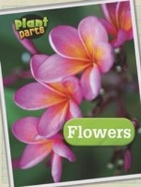 Enlarge image Cover: Flowers - Raintree Publishers