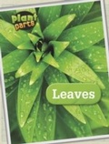 Cover: Leaves - Raintree Publishers