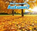 Cover: What Can You See In Autumn? - Raintree Publishers