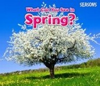 Enlarge image Cover: What Can You See In Spring? - Raintree Publishers