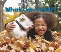 Enlarge image Cover: What Can I Feel? - Raintree Publishers