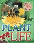 Cover: Cycles in Nature: Plant Life - Wayland