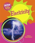 Cover: How Does Science Work?: Electricity - Wayland