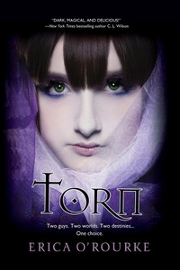 Enlarge image Cover: Torn - Kensington