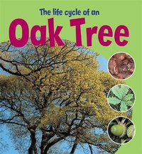 Enlarge image Cover: Learning About Life Cycles: The Life Cycle of an Oak Tree - Wayland