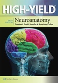 Cover: High-Yield(TM) Neuroanatomy - WOLTERS KLUWER HEALTH