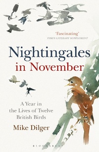 Abbildung von: Nightingales in November - Bloomsbury Natural History