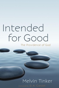 Enlarge image Cover: Intended for Good - Wipf & Stock Publishers