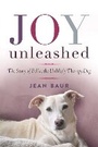 Cover: Joy Unleashed - Skyhorse Publishing