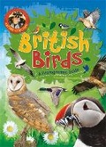 Cover: Nature Detective: British Birds - Wayland