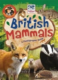 Cover: Nature Detective: British Mammals - Wayland