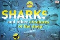 Cover: Sharks and Other Creatures of the Deep - DK Publishing (Dorling Kindersley)