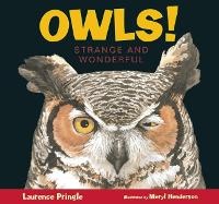 Enlarge image Cover: Owls! - Astra Young Readers